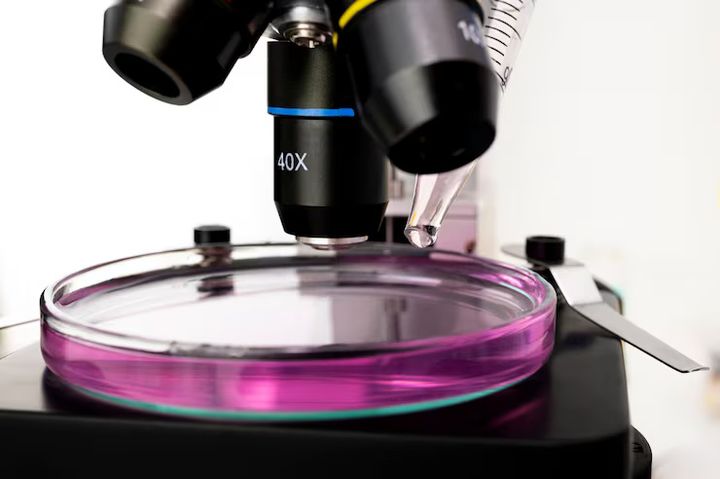 Discover Advanced Imaging Techniques: A Complete Guide to Microscopy Power
