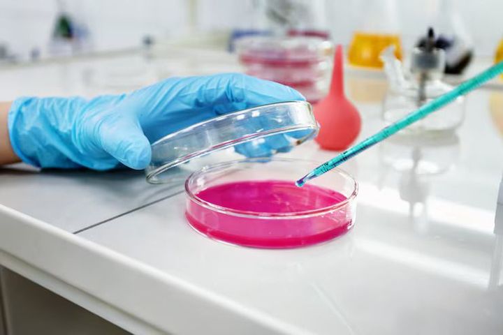Guide to Assay Development: Process, Techniques, and Best Practices
