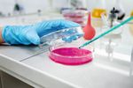 Guide to Assay Development: Process, Techniques, and Best Practices