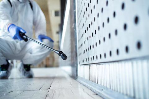 Protecting Your Home: A Comprehensive Guide to Termite Treatment