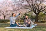 Explore Japan Honeymoon Destinations: Overview, Travel Ideas, and Beginner’s Guide