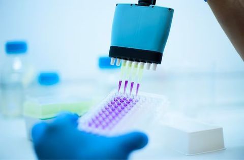 Guide to ELISA Technology: Research, Analysis, and Innovations