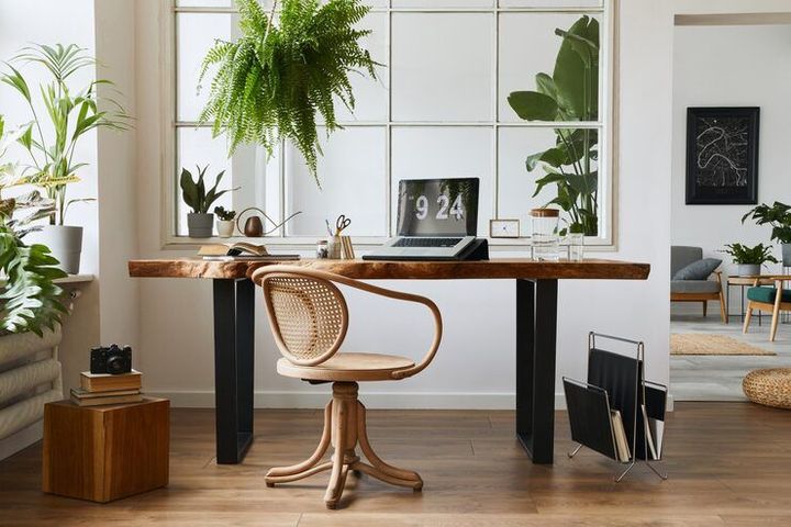 Beginner’s Guide to Biophilic Workspace Furniture: Introduction and Core Concepts