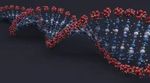 Guide to RNA Therapeutics Companies Shaping Industry Developments This Year
