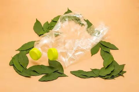 Bio-Based Plastics Overview: Types, Manufacturing Process, and Practical Knowledge