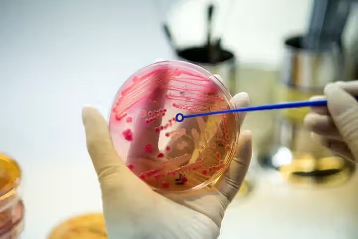 Mammalian Cell Culture Insights: Expert Guide and Professional Recommendations