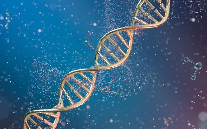 Inheritance Beyond DNA: Understanding How Epigenetic Changes Pass Between Generations