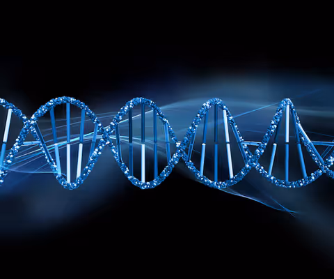 DNA Sequencers Explained: How Modern Genetic Sequencing Works